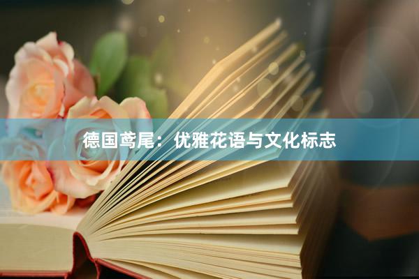 德国鸢尾：优雅花语与文化标志