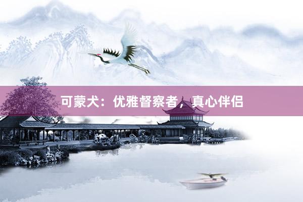 可蒙犬：优雅督察者，真心伴侣